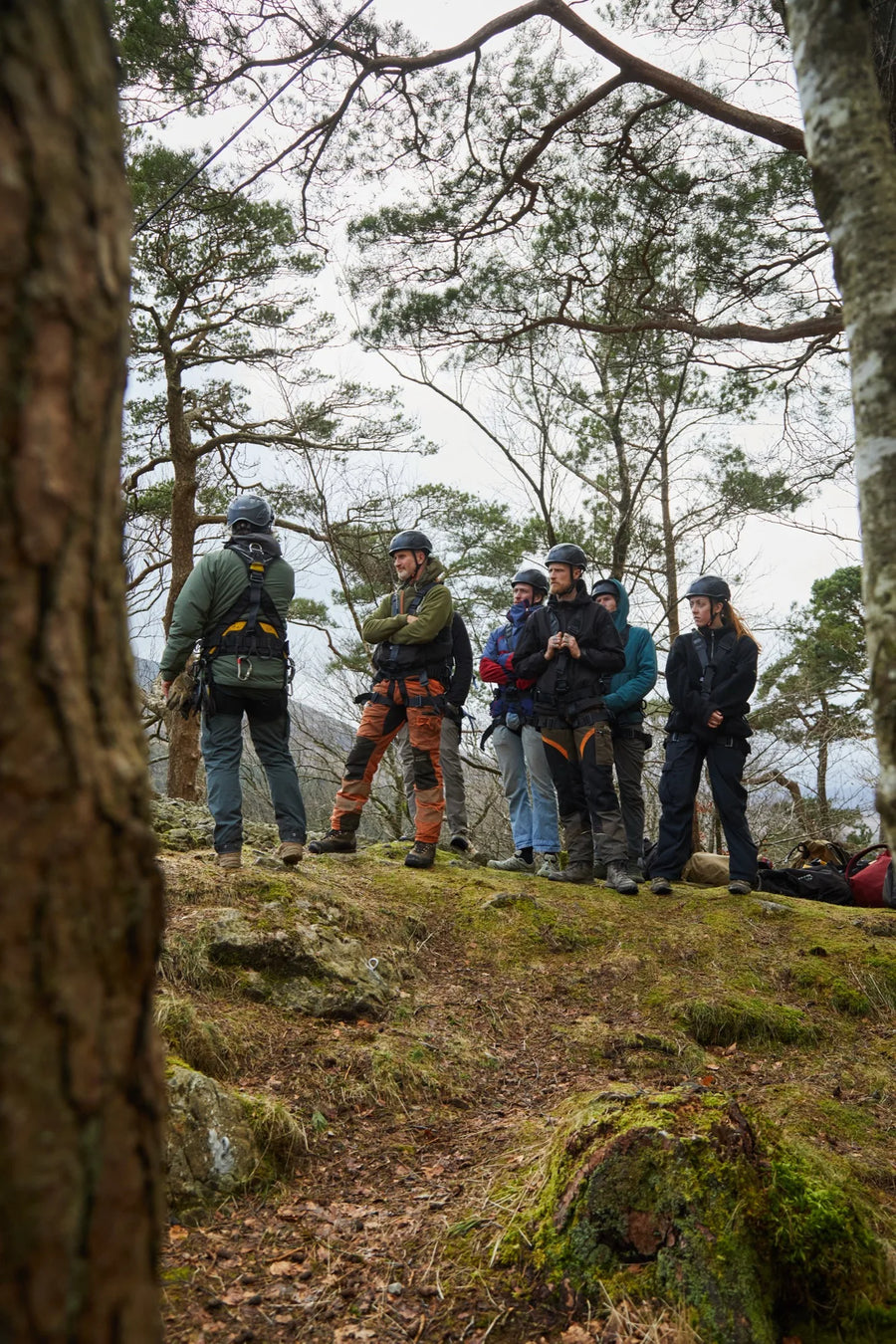 Field Search Course